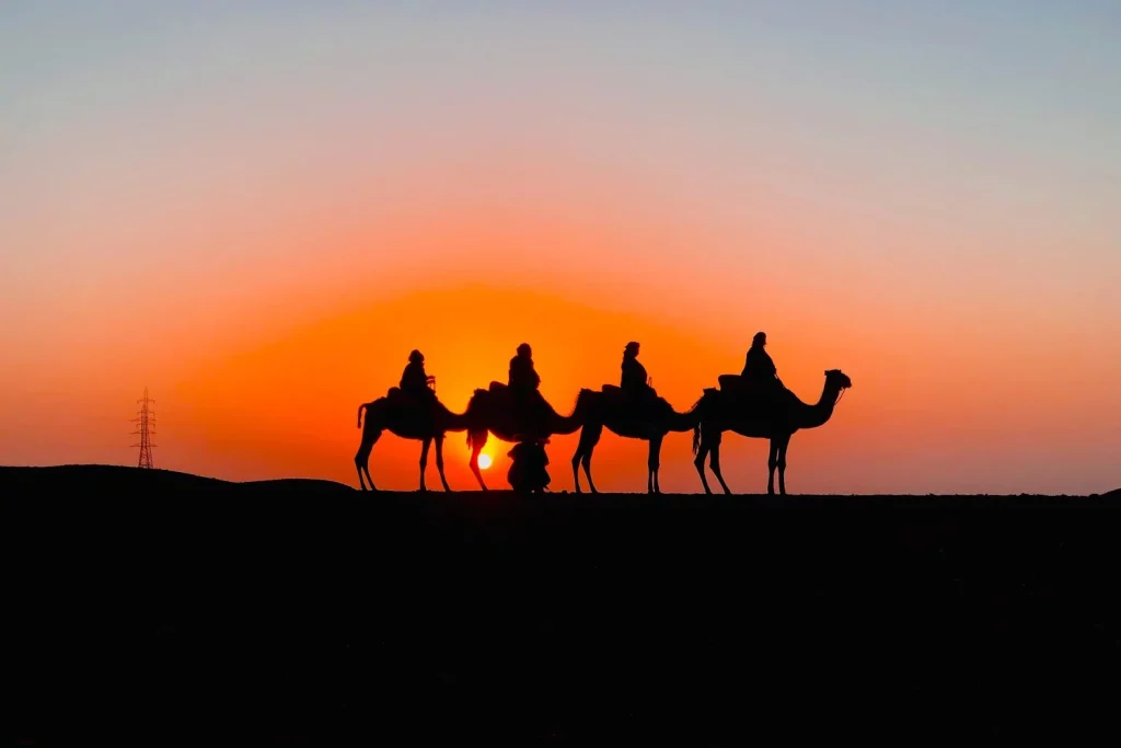 Sahara camel ride experiences