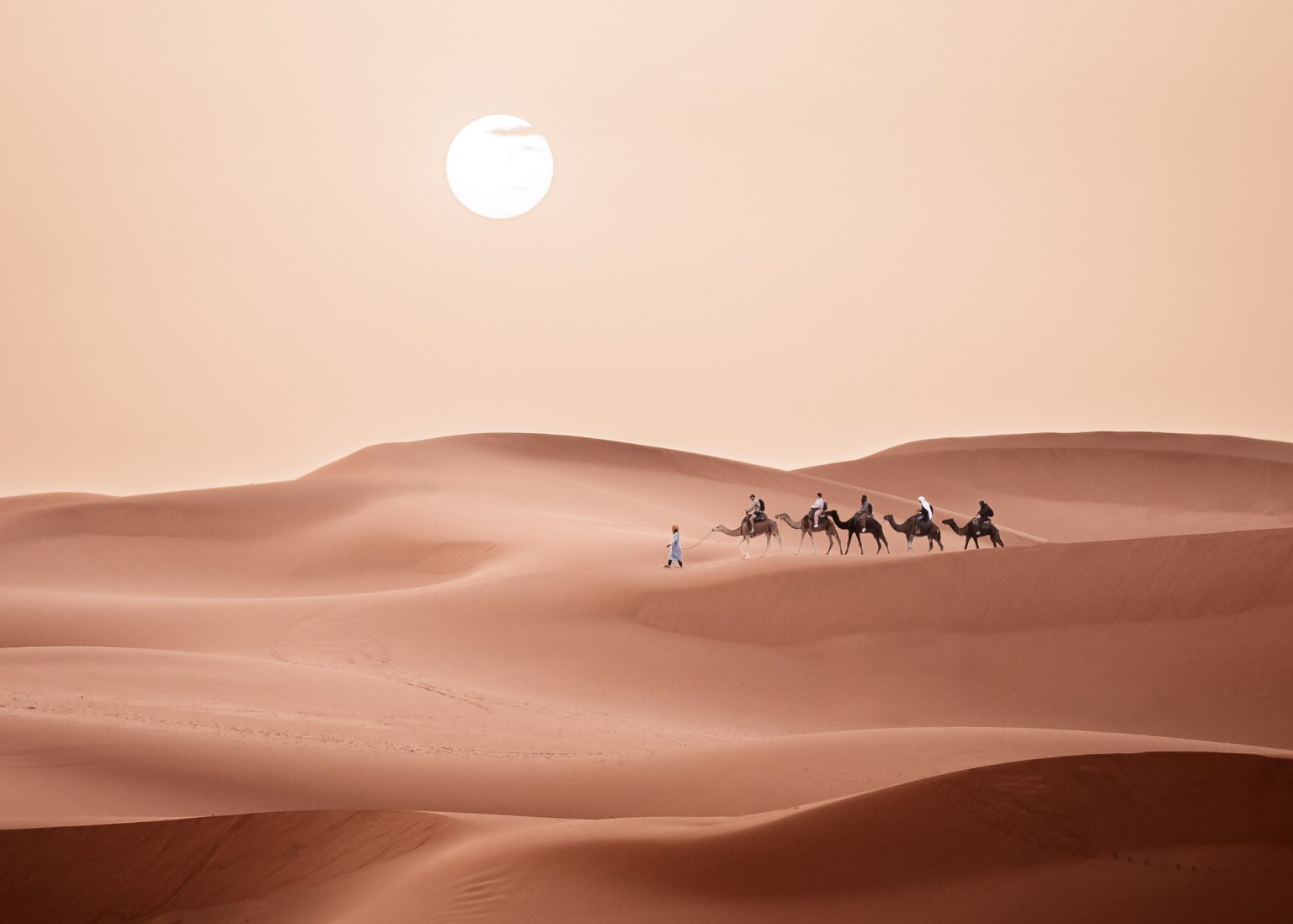 7 Best Marrakech Desert Tours & Sahara Adventure | Morocco Best Tours