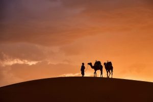 Private Driver Morocco