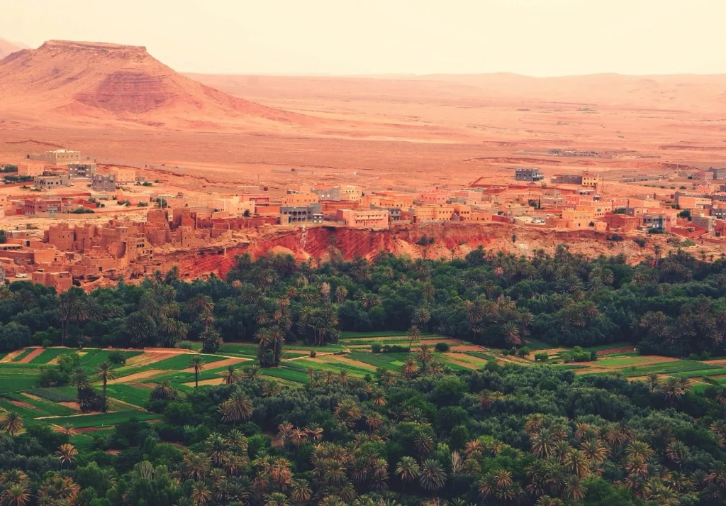 Ziz Valley Morocco panoramic viewpoint overlooking palm groves