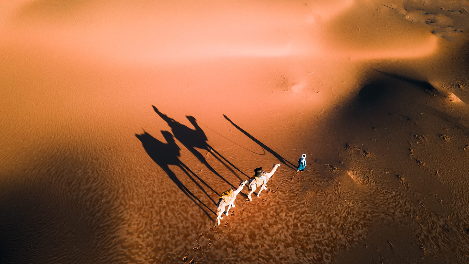 Moroccan Travel Agency