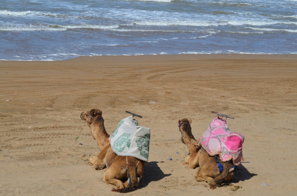 Berber Experience Morocco | Authentic Tours, Sahara Desert & Private Morocco Trips2026