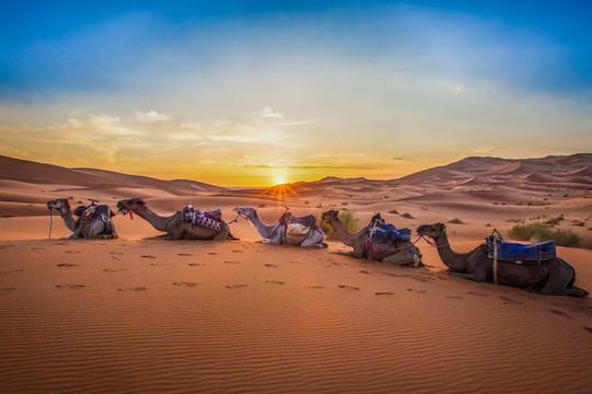Morocco Travel Agency Best Morocco Tours & Desert Trips 2026