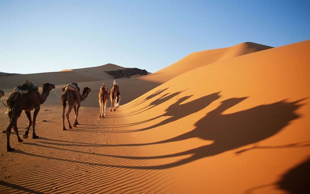 Morocco Trip Packages