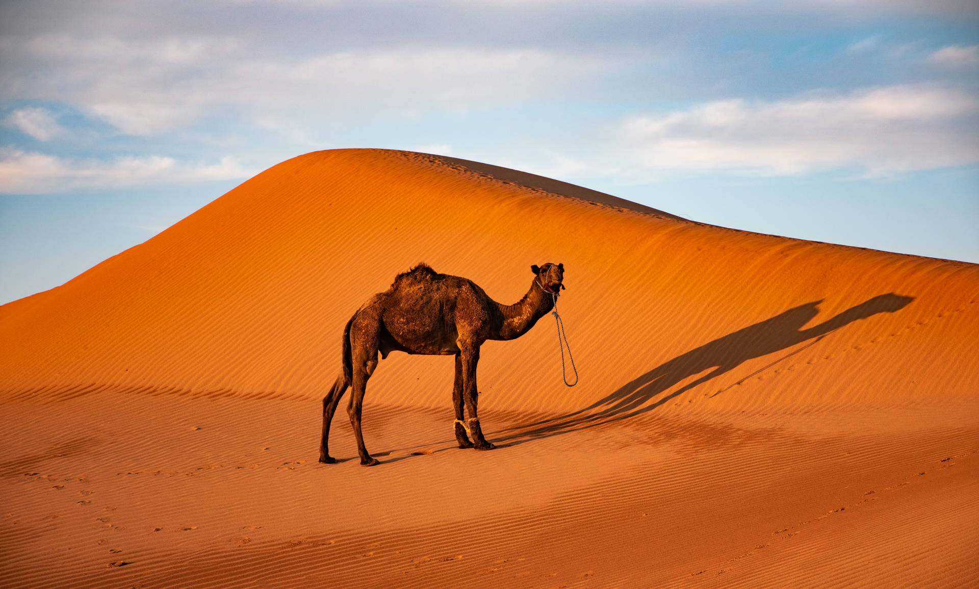 Morocco Cultural Tours | Best Morocco Desert & Heritage Travel Experiences2026