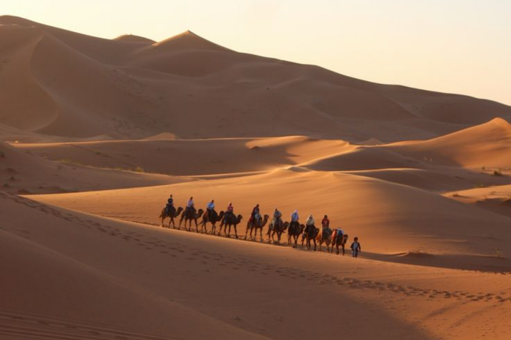 Merzouga desert camel trek Morocco