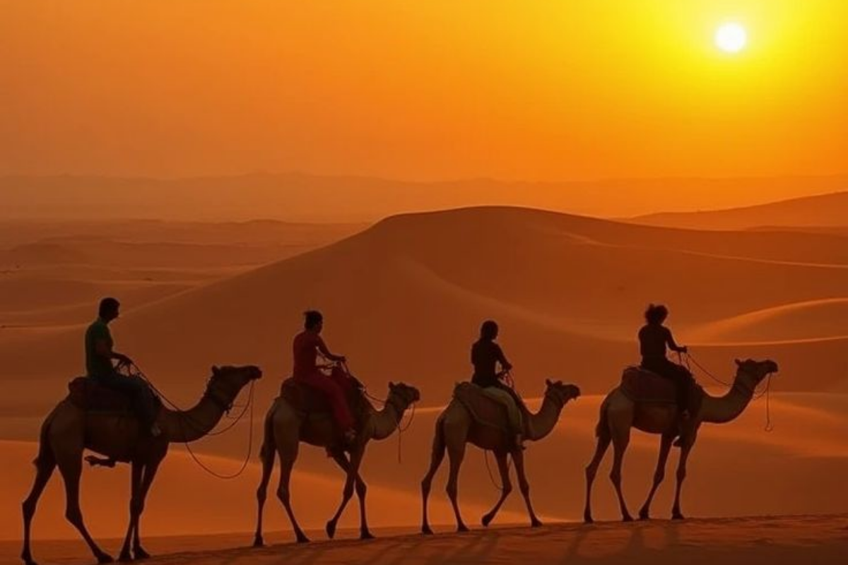 Camel trek at sunset in the Morocco Sahara Desert