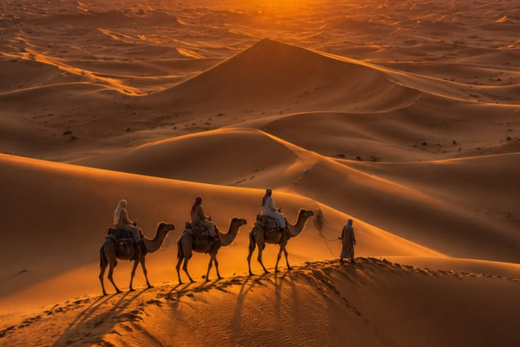 Sahara desert dunes camel sunset Erg Chebbi Morocco
